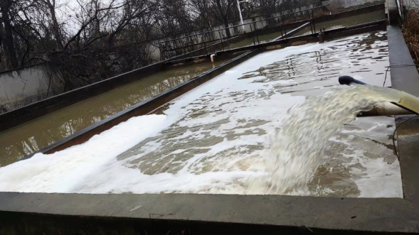 造紙廠污水處理