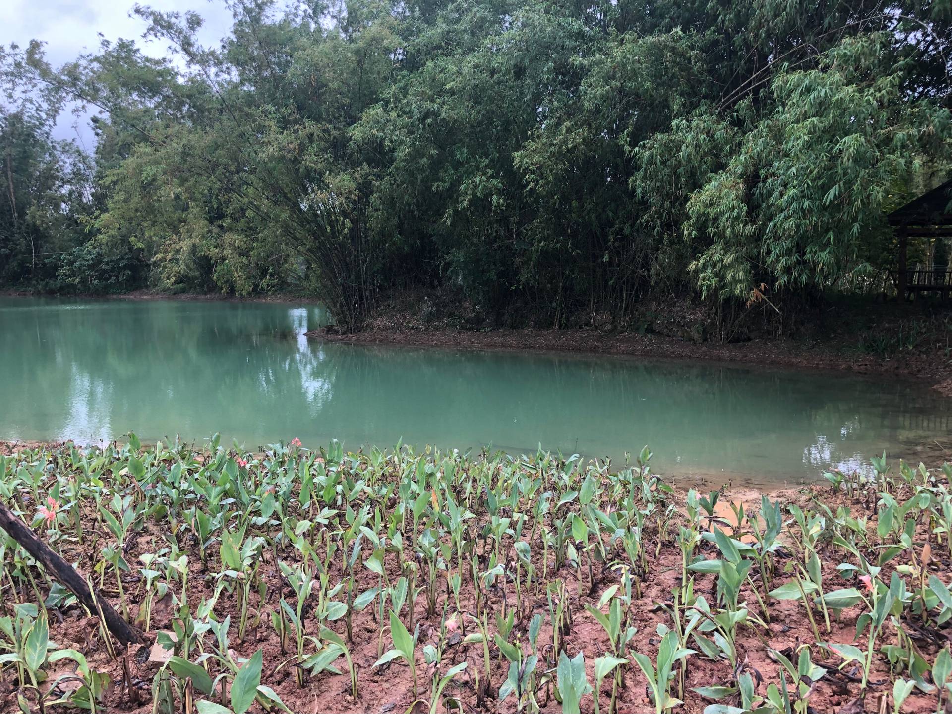 河流湖泊治理方案