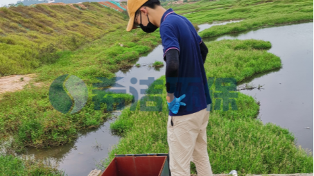 污水總磷偏高怎么處理