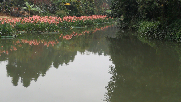農(nóng)村污水處理治理