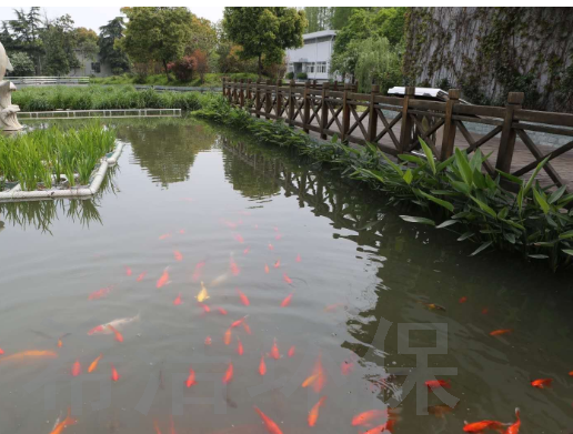 農(nóng)村污水處理方案落地