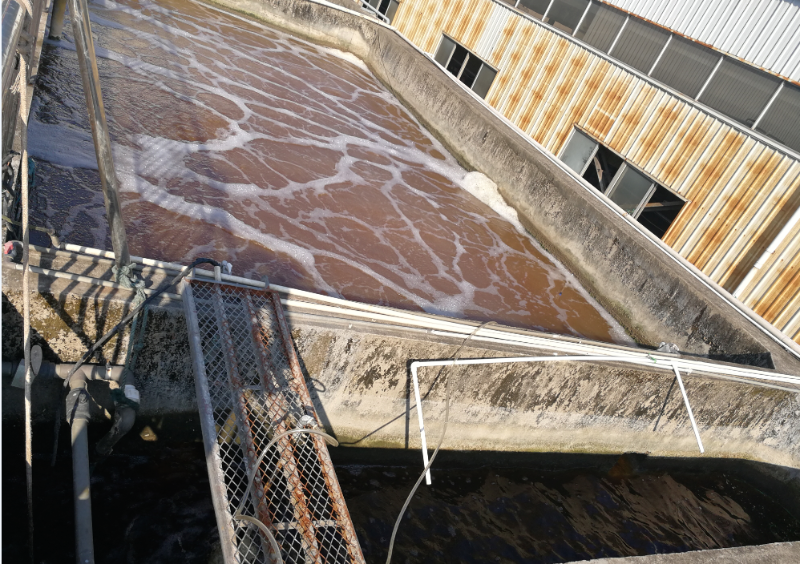 福建某食品廢水處理后效果