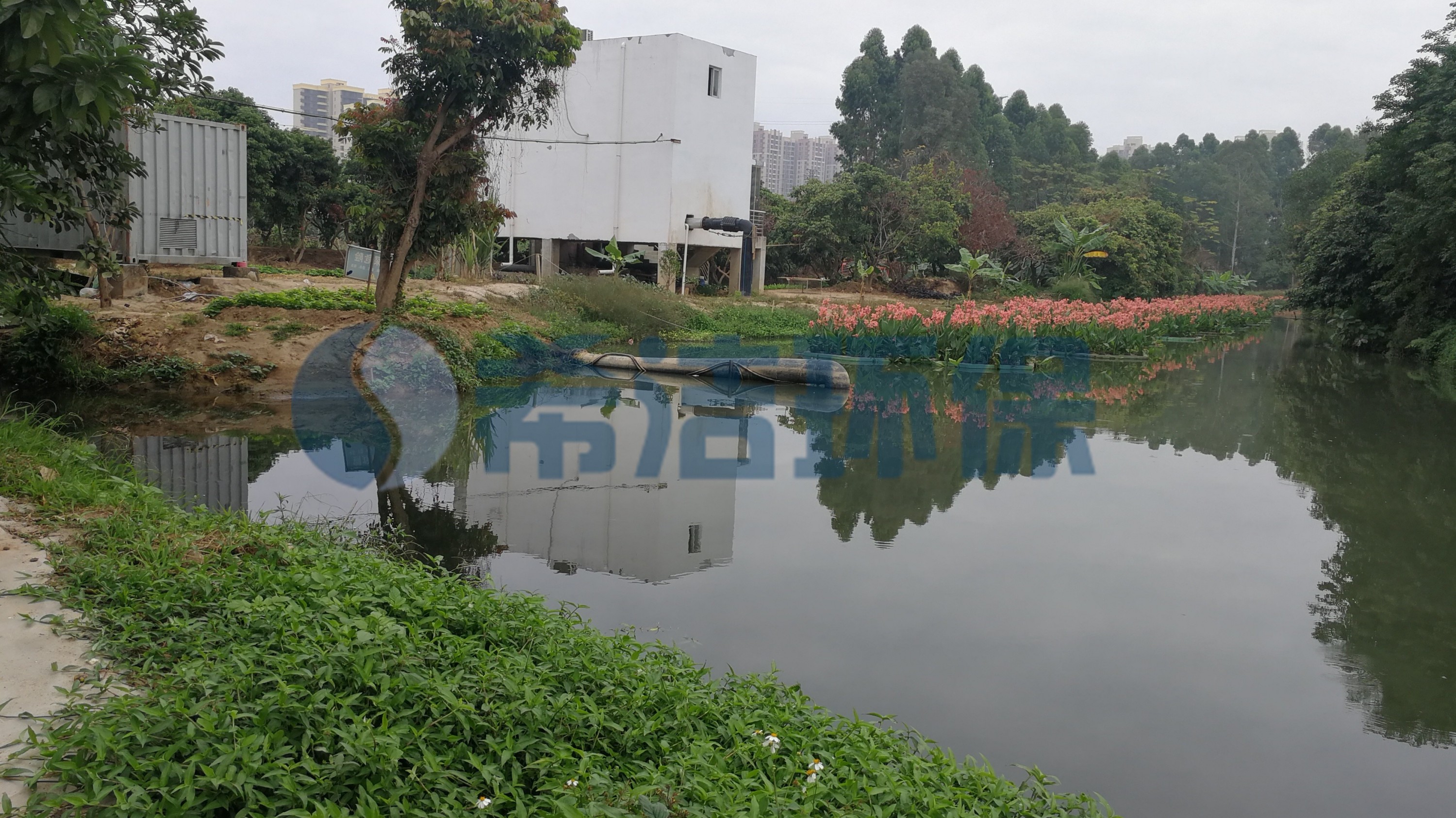 農(nóng)村污水處理標(biāo)準(zhǔn)